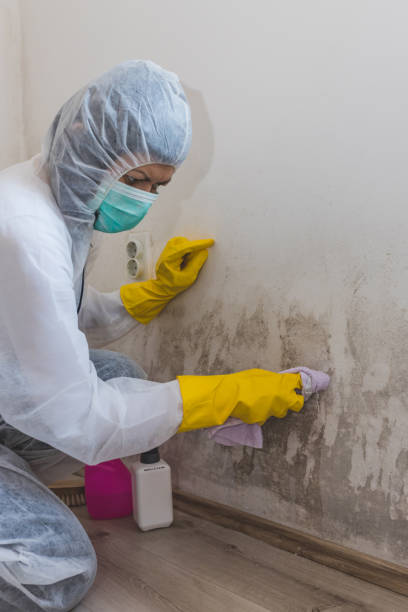 Best Biohazard Mold Removal  in Markesan, WI