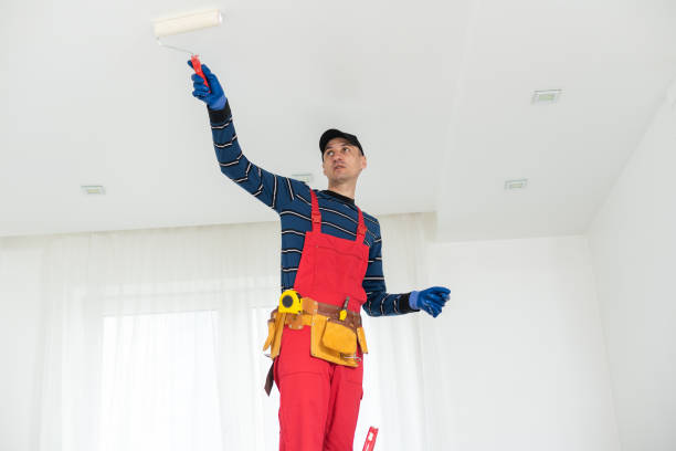 Biohazard Mold Removal in Markesan, WI