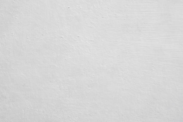 Mold Documentation for Insurance Claims in Markesan, WI